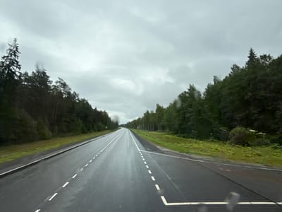 The image captures a view from a vehicle driving on a wet, asphalt road under a heavily overcast sky. The road is lined with dense green trees on both sides, with tall evergreen trees prominent on the left. The road surface shows reflections of the sky and surrounding trees, indicating recent rainfall. White dashed lines mark the lanes on the road, and a solid white line runs along the edge of the asphalt. The sky is a uniform grey, suggesting a cloudy or rainy day. The scene appears to be a rural or semi-rural setting. The image does not contain any people or specific identifiable landmarks that would pinpoint a location within Pokrovskoe, Russia.