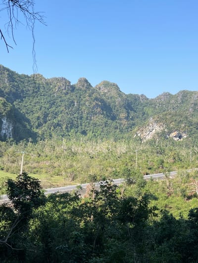 The image displays a picturesque mountainous landscape under a bright, clear blue sky. A prominent range of verdant, jagged mountains, characteristic of karst topography, dominates the middle and left portions of the frame. These mountains are densely covered with lush green trees and foliage. At the base of the mountain range, a paved road winds its way through the terrain, visible in the mid-ground, running roughly from the center towards the right side of the image. The road is flanked by various types of vegetation, including taller trees that cast some shadows on the right. Several utility poles can be seen alongside the road. In the foreground, on the bottom left, the bare branches of a tree are visible against the sky, suggesting an obstruction closer to the viewer's perspective. The bright sunlight and absence of clouds indicate a clear, sunny day, likely morning or early afternoon. No people or specific events are depicted, highlighting the serene natural environment. This scene is consistent with the landscapes found in Trân Châu, Vietnam. No visible text is present in the image.