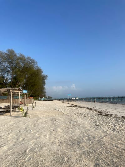 This image captures a serene beach scene in Kiwengwa, Tanzania, under a bright, clear blue sky during what appears to be late morning or early afternoon. The photograph is oriented vertically, showing the coastline stretching into the distance.
On the right side of the frame, a wide expanse of light-colored sand dominates, textured with ripples and showing some scattered darker debris, possibly seaweed, along the tideline. To the left, the calm, light blue water of the ocean meets the sandy shore. A rustic wooden pier or walkway, constructed from numerous vertical posts and horizontal beams, extends far into the water from the mid-ground. Further out in the water, a distinct light blue, raised platform or structure is visible.
Along the left edge of the beach, a cluster of lush green trees provides shade. Beneath these trees and on the sandy ground, several wooden structures with natural, possibly thatched, elements are present, suggesting beachside facilities or a bar. A small white sign with blue lettering is affixed to one of these structures, with the word "COCKTAIL" clearly visible. One individual is faintly discernible sitting or resting in the shaded area near these structures.
The weather is sunny and clear, with only a few faint clouds visible near the horizon over the water. The scene conveys a peaceful and leisurely tropical atmosphere.