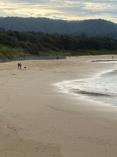 An outdoor, eye-level, long-shot captures a wide sandy beach during the day, with a lush, tree-covered mountain range in the background under a cloudy sky. In the middle ground of the beach, a couple walks hand-in-hand with a dog trailing behind them, while other figures are scattered further down the beach. The ocean on the right of the frame shows gentle waves lapping the shore. This scene is located at Diggers Beach, Coffs Harbour, Australia.