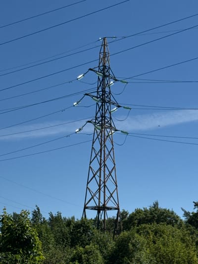 An outdoor forensic image captured in Beloostrov, Russia, depicts a tall, rust-colored metal lattice electricity transmission tower dominating the central frame against a clear, vibrant blue sky. Numerous dark power lines extend horizontally from both sides of the tower, supported by multiple strings of light green and white glass or ceramic insulators which reflect sunlight. The tower features a robust, tapering four-legged base with intricate cross-bracing. Below the tower, the lower third of the image is occupied by dense, green deciduous foliage, consisting of trees and bushes, obscuring the base of the pylon. In the upper right quadrant of the sky, a faint, thin white contrail or wispy cloud is visible. A small, dark, indistinct object, possibly avian, is discernible in the sky to the right of the tower, above the mid-level power lines. No people or active interactions are visible in the scene.