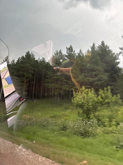 The image shows a reflection of a road and a forest through what appears to be a window. On the left side of the reflection, there is a road with a car. Further into the reflection, a dense forest with tall pine trees is visible. The sky above is cloudy and overcast. The foreground of the reflection shows a grassy area with some scattered flowers. There are no people visible in the image. The overall scene suggests a view from a moving vehicle on a road bordered by a forest, possibly during daytime. The specific location in Staryi Kumazan, Russia, is not indicated by any visual cues in the image itself.