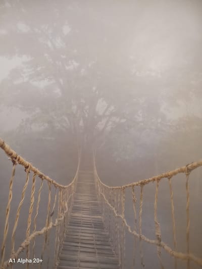 The image shows a rope bridge in dense fog. The bridge is constructed from rough-hewn logs for the walkway and thick, twisted ropes for the railings. It stretches into the distance, disappearing into the ethereal mist. Behind the bridge, the faint outlines of large trees, likely ancient, are visible through the fog, suggesting a natural, possibly remote, environment. The overall atmosphere is one of mystery and isolation, amplified by the limited visibility. The lower-left corner of the image contains a watermark reading "A1 Alpha 20+". The image does not depict any people or specific urban elements that would indicate a location within Улукаўскі сельскі Савет, Belarus.