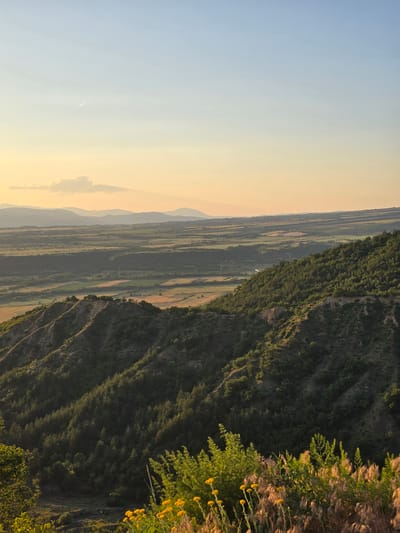 This image presents a panoramic landscape view captured near Stob, Bulgaria, likely during sunrise or sunset, characterized by warm, low-angle lighting. The sky gradients from light blue at the zenith to a pale yellow-orange hue near the horizon. A faint white aircraft contrail diagonally ascends in the upper left, while a small, diffuse cloud hovers in the mid-left sky. The background features several receding layers of hazy, bluish-grey mountains. Below these, vast plains unfold, displaying a mosaic of green and golden-brown agricultural fields. The foreground is dominated by rugged, tree-covered hills. On the right, a steep slope is densely forested with dark green trees. On the left, a less uniformly forested hillside reveals exposed earthen textures and natural terracing. The immediate lower foreground contains vibrant green shrubs and clusters of yellow wildflowers with spherical heads, intermixed with dry, golden-brown stalks of other plants, all bathed in golden sunlight. No human figures or animals are visible; distant fields indicate agricultural land use.