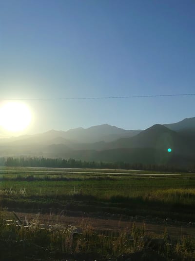 This photograph depicts a serene rural landscape at sunrise or sunset, likely in Temir, Kyrgyzstan. The sun, a brilliant disc, hangs low in the sky on the left, casting a warm, diffused light across the scene and creating a hazy, atmospheric effect. Silhouetted against the bright sky are layered mountain ranges, their peaks softened by the distance and light.
In the middle ground, a treeline of slender, tall trees forms a dark band, suggesting a wooded area or a row of poplars often found in Central Asian landscapes. Beyond the trees, there are expanses of green fields, possibly agricultural land or meadows, with some areas appearing to be waterlogged or marshy, reflecting the light. The foreground is dominated by rough terrain with dry grasses and low vegetation, with a dirt path or track running through it. A single, thin power line stretches horizontally across the sky, a subtle humanmade element in the otherwise natural setting.
The overall mood is peaceful and tranquil, evoked by the soft light, the vastness of the landscape, and the absence of any human activity or figures. The clear, pale blue sky suggests good weather. The time of day is clearly indicated by the low angle of the sun and the long shadows that would be cast, though they are somewhat obscured by the haze. The presence of distant mountains and the type of vegetation are consistent with a location in a mountainous or steppe region like Kyrgyzstan. There is no visible text in the image.
