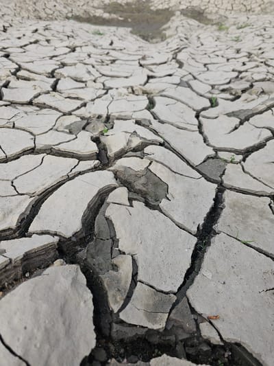 The image shows dried and cracked earth. The cracks are deep and wide, creating irregular shapes and patterns across the ground. The earth is mostly a light grey color, with some dark areas within the cracks and edges. There are a few small blades of green grass growing in the cracks. The location is Dobri Dol, Bulgaria. The context suggests a dry environment, possibly due to drought conditions.