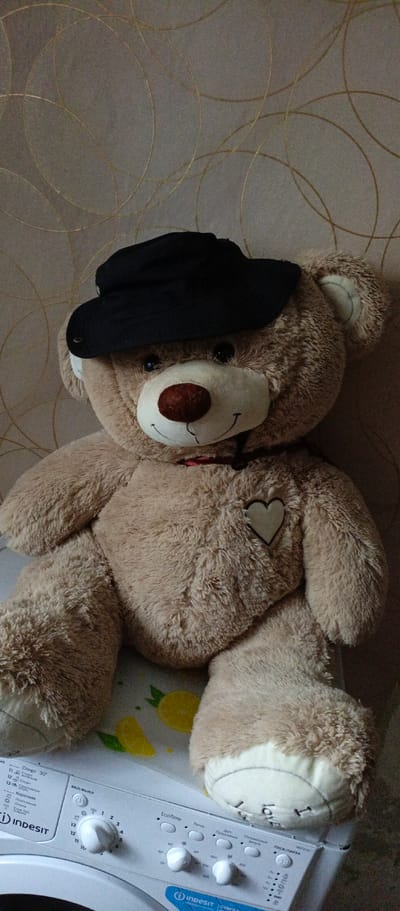 A light brown teddy bear wearing a black hat sits on top of a white Indesit washing machine. The teddy bear has a white heart sewn onto its chest. The washing machine has various buttons and dials, with some text in Russian. The background is a wall with a textured pattern of gold circles. The scene is indoors, likely in a residential setting in Kashira, Russia.