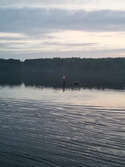 In the city of Kurikaevo, Russia, this image captures a serene body of water, likely a river or lake, under an overcast sky. The water's surface is calm, with gentle ripples reflecting the diffused light. A navigational buoy, red and white, stands vertically in the water. Nearby, two dark-colored objects, possibly waterfowl or debris, float on the surface. The background is dominated by a dense, dark green forest that lines the far bank of the water. The overall atmosphere is peaceful and natural, suggesting an early morning or late evening scene.
