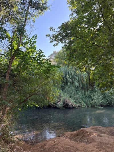 This is a landscape photograph taken in Mevoot HaHermon Regional Council, Israel. The scene depicts a serene natural environment featuring a river flowing through lush vegetation. The water in the river is clear and shallow, revealing a pebbly bottom. On the right side of the river, a dry, rocky bank rises, contrasting with the verdant greenery on the left.
The left side of the image is dominated by various types of trees and plants. Large trees with broad green leaves are prominent, with branches extending over the water. Interspersed are tall, reed-like plants and denser bushes, creating a rich tapestry of green. The sky is a clear, bright blue, suggesting fair weather, likely during the daytime. The sunlight filters through the leaves, creating dappled patterns on the ground and water.
The overall mood of the image is peaceful and tranquil, characteristic of a natural, untouched landscape. There are no people or man-made objects visible, emphasizing the wildness of the setting. The time of day appears to be late morning or early afternoon, given the angle of the sunlight and the brightness of the sky. The image evokes a sense of natural beauty and quietude.