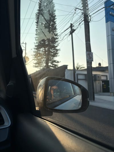 From inside a car, a side mirror reflects the photographer, wearing glasses, and holding a camera. Outside the window, a utility pole laden with wires stretches upward, topped by a no parking sign. A leafy tree partially obscures a building in the background, casting a blurred effect due to the car's motion. Sunlight filters through the scene. The car's interior is visible, displaying the dashboard and door panel.