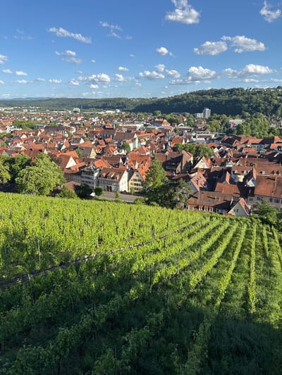 An aerial view captures the historic city of Esslingen am Neckar, Germany, on a sunny day. In the foreground, lush green vineyards are meticulously arranged in neat rows, their vibrant foliage cascading down a hillside. Beyond the vineyards, the cityscape unfolds, characterized by a dense cluster of buildings with distinctive red-tiled roofs. The architecture showcases a blend of historic and more modern structures, with narrow streets winding through the urban landscape. A prominent church spire rises above the rooftops, a testament to the city's rich history. In the background, a verdant hill covered in trees forms a natural backdrop, further enhancing the picturesque setting. The sky above is a clear blue, punctuated by scattered white clouds, casting soft shadows on the scene below. No people are visible in the image.