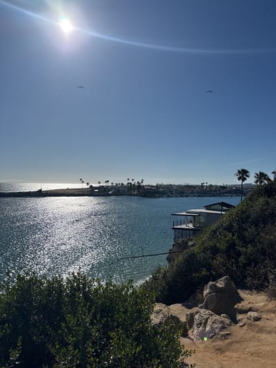 The image captures a daytime scene at Newport Beach, California, United States. The sun is high in the clear blue sky, casting a bright glare on the water. Two birds are visible, appearing as small specks in the sky. The ocean stretches towards the horizon, and a marina filled with boats is visible in the distance, along with several buildings and palm trees lining the shore.

A modern house perched on a cliff is on the right side of the frame. The foreground features lush green vegetation, rocks, and a sandy path.