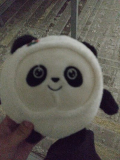 In Калыс-Ордо жаңы курулушу, Kyrgyzstan, a plush panda toy is held up against a background of concrete steps. The toy is white and black, with large black circles for eyes and a small curved black line for a mouth. Its ears are black, and there is a small, multi-colored emblem on its head. The toy is blurry, as is the hand holding it, which is visible on the left side of the frame. The concrete steps behind it are also out of focus.