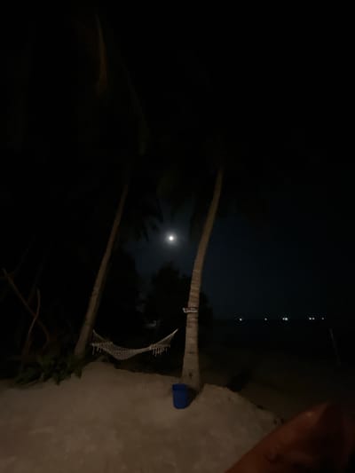 At night on a sandy beach in Legonipah, Indonesia, the full moon illuminates the scene. Two palm trees stand near a hammock strung between them. A blue bucket sits on the sand. In the distance, a faint line of lights suggests a settlement or boats on the water.