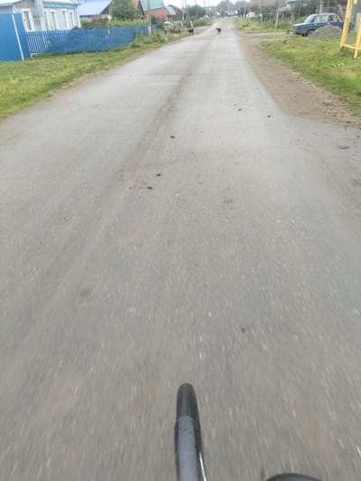 This is a first-person perspective image taken from a bicycle riding down a paved road in Akbasheva, Russia. The road is wet and appears to have recently rained. On the left side of the road, there is a blue wooden fence and houses. In the distance, there are a few dogs on the road. A dark blue car is parked on the right side of the road. The overall impression is of a rural or semi-rural setting.