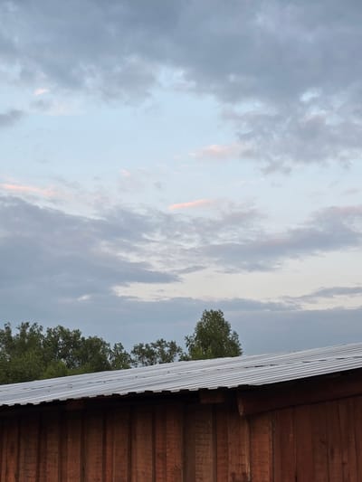 The image depicts a slightly tilted view of a cloudy sky and the roofline of a wooden structure. The sky is filled with a variety of clouds, ranging from light grey to darker, more textured formations. Streaks of pale pink or orange light are visible, suggesting the presence of either sunrise or sunset. In the distance, the tops of green trees are visible against the sky. The foreground is dominated by the corrugated metal roof of a building, which extends diagonally across the frame. To the right of the roof, the weathered wooden siding of the building is visible, made of horizontal planks. The overall scene evokes a sense of calm and natural beauty, possibly during the transitional light of early morning or late evening. The location context points to Ермолаевский Затон, Russia. No people or text are visible in the image.