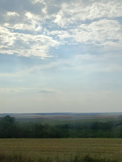 The image captures a panoramic view of rolling agricultural fields under a cloudy sky. In the foreground, a field with dry grass and scattered white flowers is visible, showing motion blur, suggesting the photo was taken from a moving vehicle. Behind this, a dense strip of dark green trees forms a treeline, separating it from the layered fields of the mid-ground. These mid-ground fields display variations in color and texture, indicating different crops or stages of growth, with undulating patterns stretching towards the horizon. The background is dominated by a hazy sky filled with scattered clouds ranging from bright white to softer gray, with a pale blue visible in between. The overall impression is one of a rural landscape, likely in Bugeac, Moldova, during daylight hours, characterized by agriculture and natural scenery. There are no people or man-made structures other than the implied context of the agricultural fields and the mode of transport from which the image was taken.
