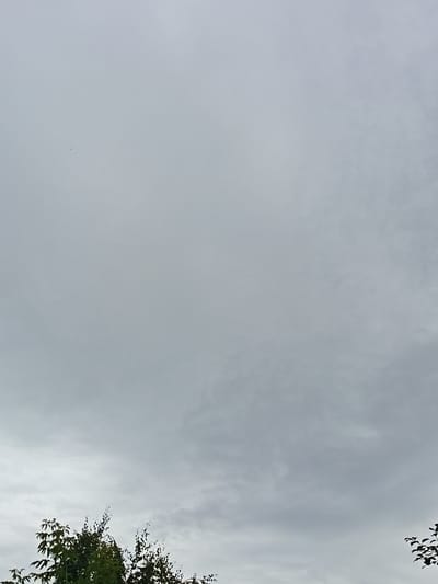 The image is a high-angle shot of a cloudy sky with a few treetops visible at the bottom. A tiny dark shape, possibly a bird or insect, is in the upper left quadrant of the sky. The overall lighting is muted due to the overcast conditions. The scene appears to be outdoors in a natural setting, without any visible urban elements that would specifically place it in Опытное Поле, Russia.