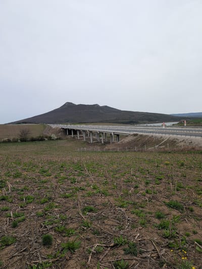 The image depicts a landscape near Buhovtsi, Bulgaria. A highway overpass spans a field. A mountain rises to the left of the overpass. The sky is overcast. The field is covered with dry vegetation and sparse green plants. The highway has a guardrail. The supports for the overpass appear to be made of concrete. There is a sparse growth of vegetation beneath the overpass.