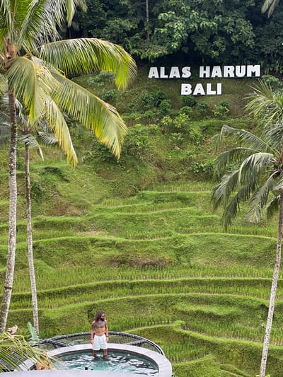 The scene depicts a tropical landscape located in the city of Tegal Suci, Indonesia. A prominent sign on the upper hillside displays "ALAS HARUM BALI" in white block letters amidst dense green foliage. Below this, extensive, vibrant green rice terraces cascade down the steep slope, framed by two tall palm trees on either side. In the lower left foreground, a dark grey circular plunge pool with a black mesh railing contains an adult male. He has long dark hair, a beard, is shirtless revealing chest and arm tattoos, and wears light-colored swim shorts, standing with his lower legs submerged. A second individual's left arm and shoulder are partially visible at the far left edge of the pool.