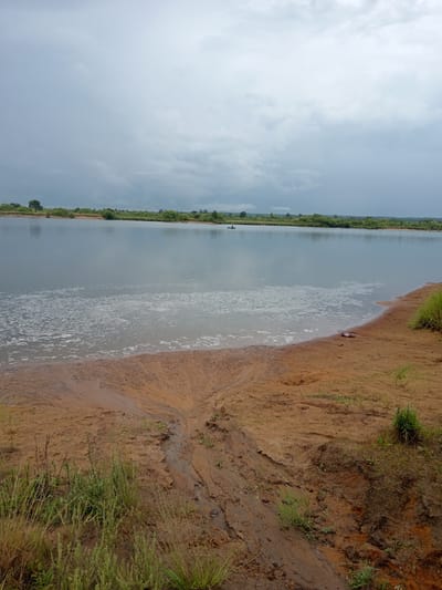 The image depicts a wide, calm body of water under a cloudy sky. The foreground is a sandy embankment with patches of dry grass and some evidence of erosion. In the distance, the opposite bank of the water is lined with lush green vegetation and trees. There is a small boat with a person in it on the water, and another indistinct object on the far shore. The overall impression is a natural, somewhat overcast landscape. The location is stated as Vasil'evka, Russia.
