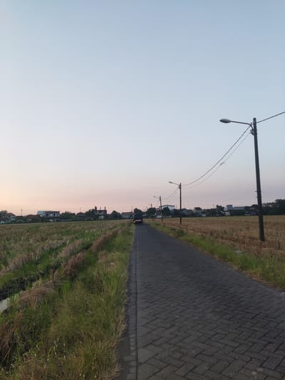 An outdoor, low-angle, vertical shot captures a road at dusk in Sukorejo, Indonesia. A dark grey, paved road with a herringbone pattern runs into the distance. On the left side of the road, there is a ditch and a field of harvested rice stalks, with green grass growing along the edge of the road. On the right side of the road, more harvested rice stalks are visible, along with a dark grey, paved sidewalk. Three streetlights are spaced along the right side of the road, with power lines strung between them. In the distance, a line of houses and trees is visible, with a light pink and grey sky overhead. A dark-colored van is driving down the road away from the camera.