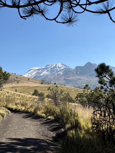 The image depicts a mountain landscape in Tlamacas, Mexico. In the background, a snow-capped mountain peak is visible under a clear blue sky. The foreground features a path that runs along a grassy hillside. Vegetation, including trees and shrubs, is present on either side of the path. A tree branch with long pine needles is visible in the left foreground. The overall scene suggests a hiking trail within a mountainous area.