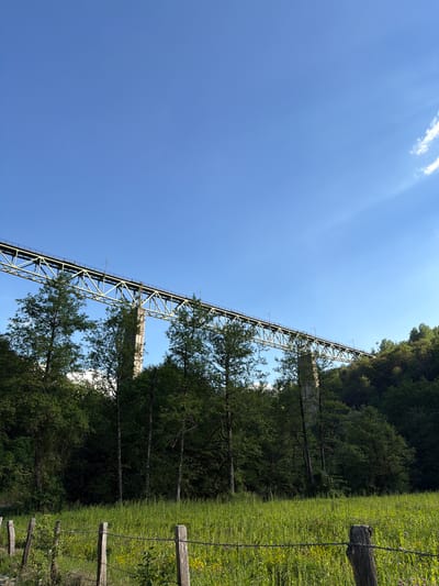 The image depicts a long, green railway bridge spanning a valley in Bojišta, Montenegro. The bridge is constructed with a lattice framework and supported by tall concrete pillars. The clear, blue sky occupies a large portion of the frame. Trees and green vegetation cover the landscape on either side of the bridge. A wooden fence with barbed wire runs along the edge of a grassy field in the foreground. The photograph is oriented vertically, giving the impression of looking upwards at the bridge.