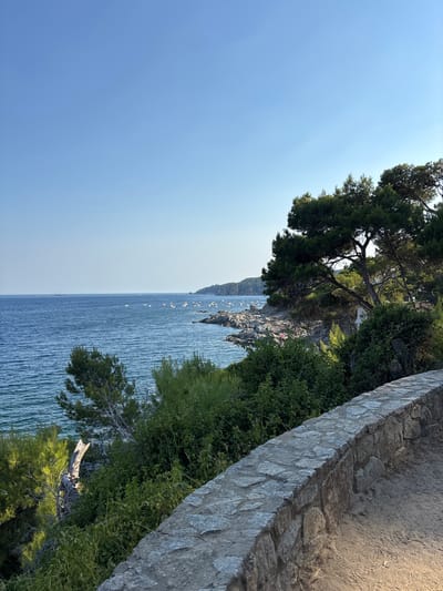 A scenic view captures the coastline of Llafranc, Spain, with a clear blue sky above. In the foreground, a weathered stone wall lines a sandy path that curves to the right. Beyond the wall, lush green vegetation and pine trees dominate the landscape, with some trees leaning towards the sea. The deep blue Mediterranean Sea stretches out to the horizon, dotted with numerous small white boats. Rocky outcrops are visible along the coastline, and further in the distance, a hilly landscape with more vegetation can be seen. The lighting suggests it is either morning or late afternoon, casting gentle shadows. There are no visible people in the immediate foreground or midground.