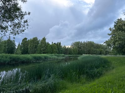 The image depicts a serene natural landscape, likely a park or a natural reserve, with a body of water and lush greenery. In the foreground, tall reeds and grasses line the edge of a calm, dark body of water, which reflects the overcast sky. Lily pads are visible on the water's surface. A dense line of trees forms a backdrop across the middle ground, with varied shades of green indicating different species and heights of foliage. The sky above is filled with dramatic, grey clouds, suggesting either an approaching storm or the aftermath of one. The overall impression is one of a quiet, natural environment, characteristic of outdoor recreational areas. This scene could potentially be located within the city of Biržai, Lithuania, known for its numerous parks and natural beauty, such as the Biržai Regional Park.