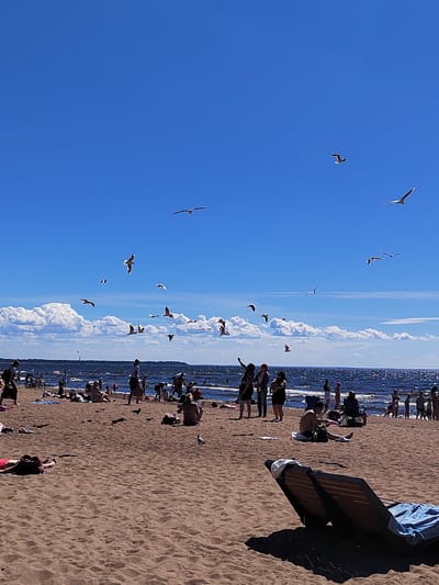 The image depicts a sunny day at a crowded beach in Solnechnoye, Russia, with the Gulf of Finland visible in the background. The sky is a clear blue with scattered white clouds. Numerous seagulls are flying in the sky above the beach. On the sandy beach, many people are relaxing, sunbathing, and socializing. Some are seated on towels, while others are lying down. In the foreground, two empty lounge chairs cast shadows on the sand. The water is choppy with waves, and several individuals are visible in the distance at the shoreline.