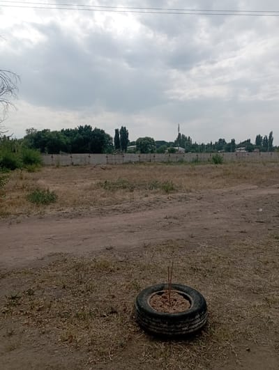 An outdoor, low-angle, medium shot captures a dusty, open field in Vostochnoe, Kyrgyzstan. In the foreground, a worn-out tire lies on the dry, sparse grass, filled with dry dirt and two thin, vertical sticks. A dirt path is visible in the lower left quadrant of the image. In the midground, a long, concrete wall stretches horizontally across the frame, topped with barbed wire. Beyond the wall, a dense line of green trees forms a natural barrier. Further in the background, structures including a telecommunications tower and buildings are visible against a cloudy, overcast sky. The overall environment appears dry and somewhat unkempt. There are no people present in the image.