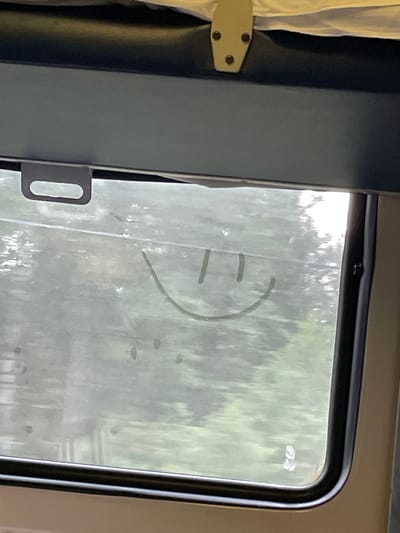 A smiley face is drawn on the window of what appears to be a train carriage. The window is smudged, with the outdoors visible as a blurred green landscape of trees. The smiley face is drawn in a dark line, consisting of a curved mouth and two vertical lines for eyes. A gray bracket-like object is visible at the top left of the window. The interior of the train carriage is visible at the top and right edges of the image, showing dark upholstery and a white fabric shade. The location is in the city of Bol'shaya Vishera, Russia.