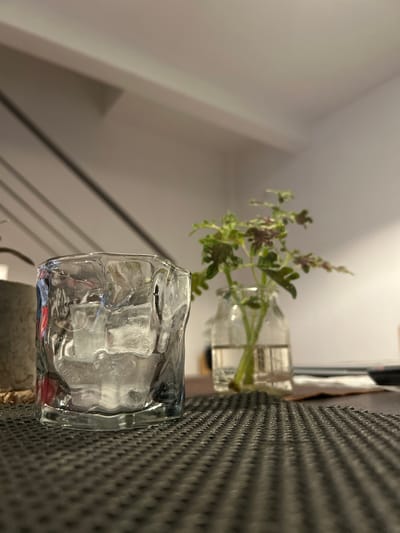 The scene, located indoors in Villa San Andrés, Argentina, features a clear glass tumbler filled with multiple irregular ice cubes, positioned on a dark, textured, possibly woven placemat with a repeating raised dot pattern. The tumbler exhibits an uneven, undulating upper rim and textured glass sides. To the immediate left, a segment of a light gray cylindrical pot is partially visible. Further back and to the right, a clear glass bottle contains water and a plant cutting with multiple stems and green and reddish-purple leaves. The background consists of a light-colored wall, with blurred diagonal lines in the upper left quadrant consistent with a staircase railing or similar architectural element. No individuals are present. The environment appears to be an interior space under artificial illumination.