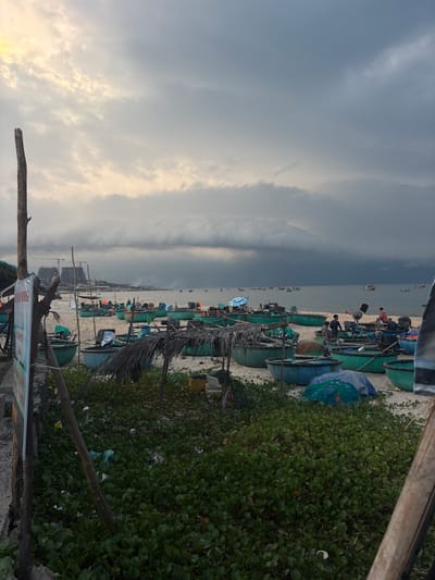 This is a wide-angle, eye-level photograph of a beach scene at low tide, possibly in Thuận Thành, Vietnam, during overcast weather with dramatic clouds. In the foreground, to the left, is a weathered wooden post and a sign with some text. The ground is covered in lush green vegetation interspersed with scattered litter. To the right, another wooden post and some more vegetation are visible.
Dominating the mid-ground and background are numerous round, basket-like fishing boats of varying shades of green and blue, resting on a sandy beach. Some of these boats are covered with tarps or nets. A few individuals are present, with at least three men visible in the boats in the mid-ground, appearing to be engaged in activities related to the boats. Some of the boats are lined up in rows, while others are more scattered.
Further in the background, the calm ocean stretches to the horizon, dotted with many more boats, some appearing to be further out at sea. In the far distance, on the coastline, are the skeletal structures of unfinished high-rise buildings and construction cranes, suggesting ongoing development. The sky is filled with heavy, dark clouds, with a brighter, diffused light suggesting either sunrise or sunset. The overall impression is one of a working fishing village preparing for or recovering from a day at sea, with a backdrop of coastal development.