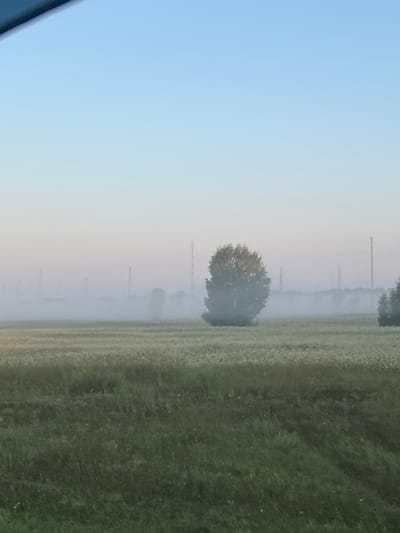 An outdoor, daytime, medium shot captures a pastoral scene with a hazy, mist-shrouded background, likely taken from a moving vehicle. In the foreground, a field of green grass and a lighter-colored, possibly flowering crop stretches across the frame. A large, leafy tree stands prominently in the mid-ground. Beyond this, tall, slender towers rise from the mist, suggesting an industrial or communication complex. The sky above transitions from a pale blue at the top to a soft pinkish hue near the horizon, indicating either early morning or late evening. The overall atmosphere is serene and slightly obscured by the fog. The location is identified as Yarkovo, Russia.