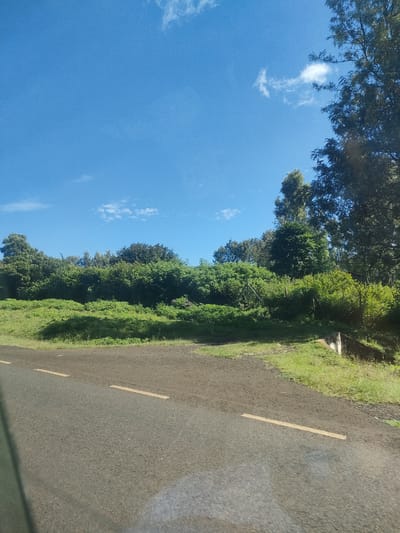 The image shows a road in a rural area under a clear blue sky with scattered clouds. The road is asphalt, with intermittent yellow lines marking the lanes. A dense row of green trees and shrubs lines the side of the road. A concrete structure is visible on the right side of the road. The specific location is likely within a municipality ward in Kenya, based on the prompt. There are no people or specific actions visible in the image.