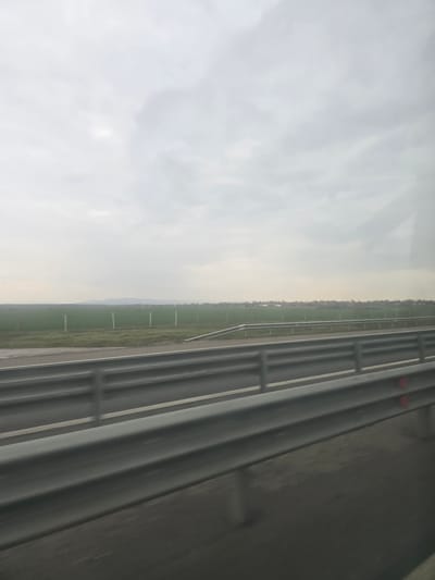 The image displays a panoramic view from a moving vehicle, likely on a highway, within the vicinity of Opalchenets, Bulgaria. The immediate foreground features a multi-bar gray metal guardrail extending diagonally from the lower right towards the mid-left, with a red reflective marker visible on its rightmost section. Below the guardrail, a dark paved surface is present. Beyond the foreground guardrail, a lighter gray paved surface, likely an adjacent road lane or shoulder, is delineated by a white solid line. A second, parallel gray metal guardrail is visible further back. The mid-ground consists of expansive green agricultural fields, bordered by several light-colored vertical posts. In the far distance, a cluster of residential or small commercial buildings is discernible against a faint line of trees, followed by the hazy silhouette of low-lying mountains or hills on the horizon. The sky overhead is uniformly overcast, exhibiting various shades of light gray with no direct sunlight. No individuals, animals, or specific actions are depicted in the scene.
