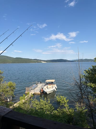 The image depicts a serene waterfront scene in Zvanika, Bulgaria. In the foreground, a wooden railing offers a vantage point overlooking a calm, blue lake. Three fishing rods are angled upwards, their lines taut against a clear blue sky dotted with fluffy white clouds. A small dock extends into the water, where a white motorboat is moored. The boat has a beige canopy and white fenders. Lush green trees and bushes line the shore, with some foliage encroaching on the dock area. In the background, rolling, tree-covered hills rise from the opposite side of the lake, with a small cluster of buildings visible on the distant hillside. The overall impression is one of peaceful recreation and natural beauty.