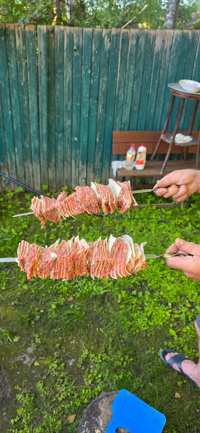 In the city of Электротехник Снт, Russia, two skewers of raw meat and flatbread are being held up in the foreground. The meat appears to be thinly sliced and layered with pieces of flatbread, with visible herbs mixed into the meat. The skewers are held by two individuals, whose hands are visible on the right side of the image. In the background, a weathered green wooden fence runs horizontally across the frame. Behind the fence, trees and foliage are visible. To the right of the fence, there is a wooden bench with two bottles on it, and a metal chair with a plate on its seat. The ground is covered in green grass, with some patches of dirt and fallen leaves. A blue plastic object and a tree stump are visible in the lower right corner, along with a person's foot wearing a black sandal. The lighting suggests it is daytime, possibly late afternoon, with soft shadows.