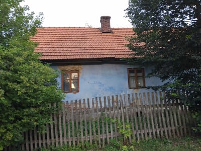 A medium shot captures the facade of an old, weathered house in Khodorkivtsi, Ukraine. The house is characterized by its cracked, light blue painted walls and a terracotta-tiled roof. Two windows, each with a wooden frame, are visible on the front of the house. A brick chimney rises from the center of the roof. In front of the house, a weathered, wooden plank fence runs horizontally across the frame. Dense green foliage, likely trees and bushes, partially obscures the left and right sides of the house and the fence. The ground in front of the fence is covered with green grass and some smaller plants. The overall impression is one of rural decay and the encroachment of nature.
