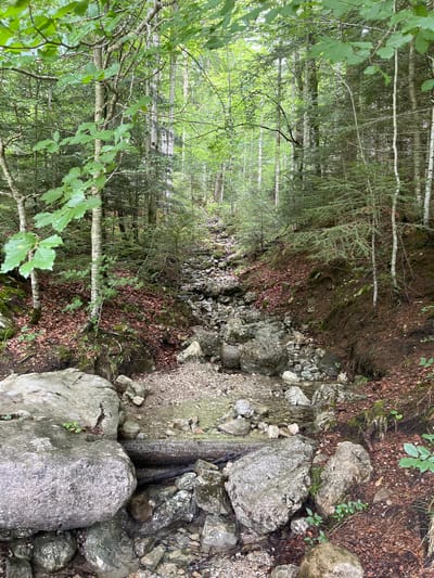 The image depicts a rocky, partially dry streambed in a dense forest. The streambed is lined with various-sized stones and gravel, with some water flowing through the lower section. The surrounding environment is characterized by numerous trees with green foliage, including deciduous trees with broad leaves and evergreen conifers. The ground is covered with fallen leaves, moss, and exposed roots. Several large rocks are scattered throughout the scene, particularly in the foreground. The lighting suggests an overcast or shaded day. The scene is located in the municipality of Ettal, Germany, known for its natural landscapes and the Ettal Abbey. There are no people visible in the image.