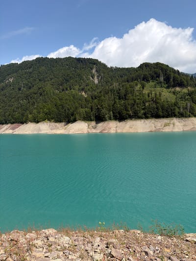 The image depicts a scenic view of a turquoise lake with a densely forested mountain range in the background. The lake occupies the lower half of the frame, its surface rippled by a gentle breeze. The shoreline in the foreground is rocky and sparsely vegetated with some low-lying plants. The mountain slope rises steeply from the lake, covered in a thick canopy of dark green trees. The sky above is a clear blue, dotted with fluffy white clouds. The scene appears to be a natural landscape, possibly a reservoir or a glacial lake, located in a mountainous region of Italy, potentially near Lateis / Latais. There are no people or man-made structures visible in the image.