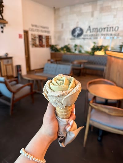 A first-person perspective photograph captures a human left hand holding a rose-shaped ice cream cone inside an Amorino gelato shop located in Veracruz, Mexico. The ice cream features two distinct flavors, a light brown/tan and a light green/yellow, sculpted into a floral pattern and served in a waffle cone wrapped with a branded paper sleeve. The hand displays white, manicured fingernails and wears a bracelet composed of irregular white pearls on the wrist. The background reveals the interior of the commercial establishment, identified by prominent wall signage displaying "Amorino," its logo, "GELATO NATURALE," and "WORLD FAMOUS GELATO FLOWERS." The shop's decor includes light-colored walls, a textured rear wall, and various seating arrangements: gray upholstered benches, round wooden tables, and wooden armchairs with light cushions. A long planter containing green foliage is situated below the main signage on the back wall. The flooring throughout the visible area is dark. No other individuals are present within the frame.