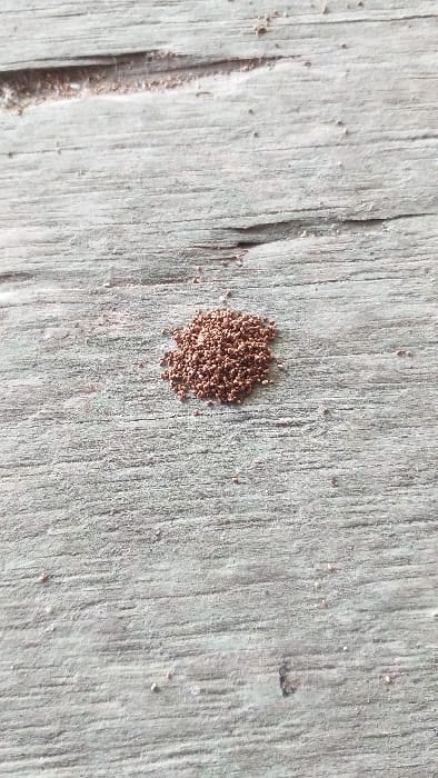 The image displays a close-up, top-down view of a small, irregular accumulation of reddish-brown granular material, consistent with drywood termite frass. This cluster, approximately 1-2 centimeters in its longest dimension, rests on a light gray, weathered wooden surface. The wood substrate exhibits distinct linear grain patterns and shallow, elongated depressions. Scattered individual granules, identical in appearance to those forming the main pile, are visible sparsely distributed across the surrounding surface. The scene is illuminated by diffuse, ambient light, casting no distinct shadows. No living organisms or active movement are observed. Location: Serdang, Indonesia.