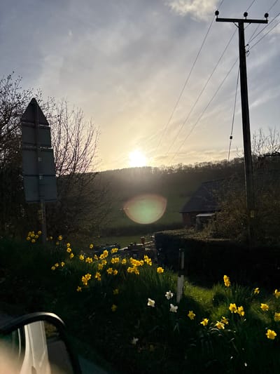 The image depicts a rural scene in Stiperstones, United Kingdom, captured from a low vantage point, likely from within a vehicle, with a portion of a white vehicle's side mirror visible in the lower left foreground. A bright, low sun is centered in the upper mid-left, casting strong backlight and producing a green and orange lens flare effect in the mid-ground. The sky is partially cloudy, transitioning from a lighter hue near the sun to a darker gray towards the top.
In the immediate foreground, a grassy verge is densely populated with yellow daffodils and several white daffodils. To the left, the dark, unreflective reverse side of a multi-panel road sign post is visible, partially obscured by bare deciduous branches. Further right, a dark wooden utility pole with multiple overhead wires extends from the mid-right into the upper frame.
The mid-ground features a dark green hedge or dense shrubbery, behind which a building with a dark tiled roof and partially visible red walls is situated. Green fields are present behind the building and hedge. The background consists of a forested hill or ridge, with numerous bare deciduous trees silhouetted against the bright sky. No individuals or specific actions are discernible.