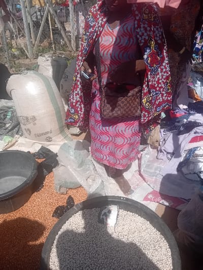 The image portrays an outdoor market scene in Gurku Gwari, Nigeria, illuminated by strong daylight. A central individual, viewed from the upper torso down, wears a red and pink patterned dress underneath a red, blue, and white floral long-sleeved overshirt. A brown checkered shoulder bag, featuring a monogram, is worn across the body. The individual holds a light blue mobile phone in their left hand, and their bare feet are visible on the ground. To the right of this person, a partial view of another individual's dark clothing and right arm is present.
In the foreground, from left to right, a dark, empty plastic basin rests on the ground next to a widespread accumulation of reddish-brown grains. Adjacent to these grains is a large black plastic basin filled with numerous light-colored, round grains, resembling white beans or cowpeas, with a white and black spotted scoop partially submerged within them. Distinct shadows are cast across the grains and basins.
The midground features several large, white woven sacks, one prominently displaying the brand name "Diamond," indicative of packaged goods. Piles of assorted clothing are also visible to the right of the central figure. The background reveals a metal fence structure and dry, sparse ground vegetation, suggesting an open-air market setting.