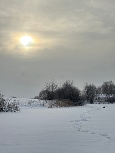 The image depicts a snow-covered winter landscape in Азярэцкі сельскі Савет, Belarus, under an overcast sky with the sun visible in the upper left quadrant. The foreground consists of a vast expanse of undisturbed white snow, with a distinct, winding trail of individual footprints originating from the lower right and extending towards a dark, squat object situated on the snow in the mid-right. This object appears to be a portable shelter, possibly for ice fishing. In the middle ground, a line of bare, deciduous trees and a patch of dried reeds or tall grasses are visible on a low rise or bank behind the snow-covered surface. Further in the background, to the right, several small, modest buildings with snow-covered roofs are partially obscured by trees. The sky is predominantly grey with diffuse cloud cover, through which a bright, luminous sun casts a soft light on the scene. Small specks are visible in the air, consistent with falling snow. No individuals are present in the frame.