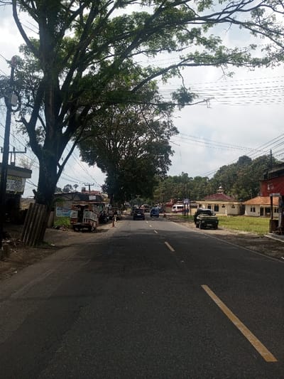 The image depicts a two-lane asphalt road traversing the city of Niz Lakuk, India, under an overcast sky. A prominent, large tree with a dense green canopy stands on the left side of the foreground, its trunk partially clad in corrugated material. To the left of the tree, a utility pole with multiple electrical wires extends overhead. Adjacent to the road on the left, several single-story structures, some appearing to be shops or residences, are visible, one featuring a partially obscured sign. A small, open-backed utility truck, orange and white, is parked on the left shoulder, with several motorcycles and indistinct human figures nearby.

On the right side of the road, a dark-colored pickup truck is parked on the shoulder. Beyond it, a light-colored single-story building with a red-tiled roof and a small dome-like structure is present, flanked by another similar building. The background on both sides consists of dense green foliage and trees. The road itself features a broken yellow center line. Moderate vehicle traffic is present, with several cars and motorcycles traveling away from the camera. Utility lines stretch across the frame above the road.