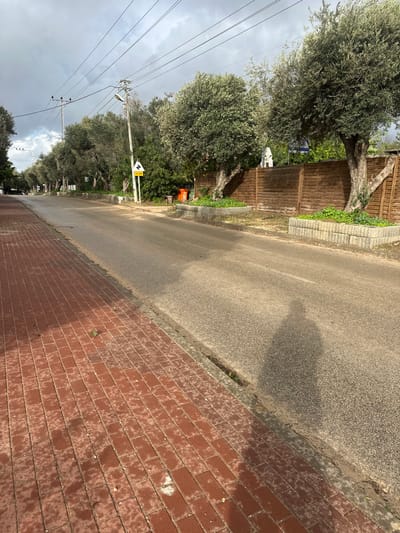 This image depicts a street in Beit Yitshak Sha'ar Hefer, Israel, under an overcast sky with sun breaking through. The scene is viewed from a low perspective on a wet, red brick paved sidewalk that extends into the distance on the left. To the right of the sidewalk is a damp, asphalt road, which appears devoid of vehicles or pedestrians. A distinct, elongated human shadow is cast onto the asphalt road from the bottom right corner, indicating the presence of a person, likely the photographer.
Along the right side of the street, a continuous row of mature olive trees is planted in raised beds constructed from grey concrete blocks, with green groundcover visible within these planters. Behind the trees, a brown wooden fence runs parallel to the road. A utility pole with multiple overhead power lines and an attached street lamp stands prominently on the right side. Affixed to this pole is a yellow triangular warning sign with black text, reading "אין כניסה" (No Entry). An orange cylindrical object, possibly a refuse bin or bollard, is situated near the base of this pole. Further down the street on the right, more dense foliage and a white, irregularly shaped object are partially visible behind the fence.